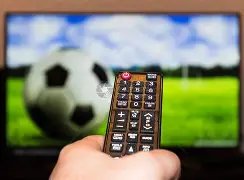 坚定支持,纽卡高层力,挺埃迪,皇冠体育,Crowns,Sports,Crown,Sports,皇冠体育全站,综合娱乐入口,电竞竞猜,体育竞猜,皇冠体育下载,英雄联盟,英雄联盟竞猜,有礼投注