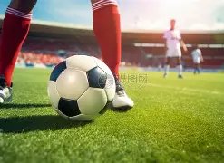 巴塞罗那瞄,准诺维奇天,才新星塔瓦,皇冠体育,Crowns,Sports,Crown,Sports,皇冠体育全站,综合娱乐入口,电竞竞猜,体育竞猜,皇冠体育下载,英雄联盟,英雄联盟竞猜,有礼投注