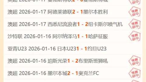 独家揭秘：奇才与魔术巅峰对决，19胜12辉煌战果等你一探究竟！