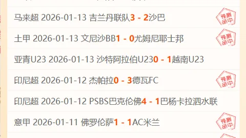 勒沃库森霍夫曼破门，格里马尔多助力，1-0小胜耶拿德国杯