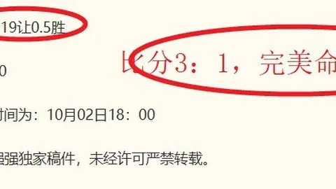 玩转6，英语提升有妙招皇冠体育平台：独家专访第二期，犯罪系统升级解析